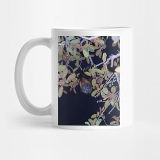 Grey-headed Flying Fox Mug